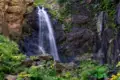 Georgien - Wandern im wilden Kaukasus - Bild 10