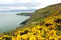 Irland - die Wicklows gemütlich erwandern - Bild 8