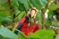 Höhepunkte Costa Ricas in 11 Tagen erleben - Bild 1