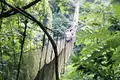 Costa Rica - Entdeckungsreise zu unberührten Nationalparks und lebendiger Kultur - Bild 12
