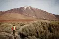 Die Highlights Teneriffas erwandern - Bild 4