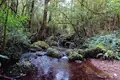 Kilimanjaro: Marangu-Route - Bild 8