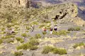 Oman - Anspruchsvolles Trekking im Sultanat - Bild 22