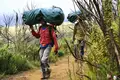 Kilimanjaro: Marangu-Route - Bild 9