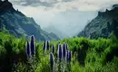 Madeira gemütlich erwandern – Bild 1