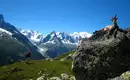 Aufmerksamer Begleiter während unserer Tour Bergwanderer im Mont Blanc Gebirge, mit Gletscher und Steinböcken.