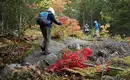 Indian Summer in Kanada: Farbrausch und Naturgenuss