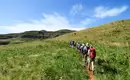 Wandergruppe in Südafrikas Berglandschaft Eine Wandergruppe auf einem Pfad in Südafrikas hügeliger Berglandschaft.