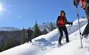 Schneeschuhtouren im stillen Obernbergtal