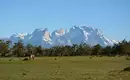 Patagonische Landschaft mit Bergpanorama und Weidepferd.
