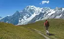 Unsere heutige Etappe beir Traumwetter in der Mont Blanc Region Wanderer in den Alpen vor dem Mont Blanc mit Bergblumen.