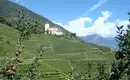 Individuelle Wanderung entlang des Wein- und Almenwegs in Südtirol