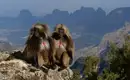 Äthiopien - Eindrucksvolle Trekking-Abenteuer in den Simien-Bergen