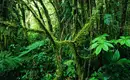 Costa Ricas Highlights entdecken