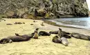 Ecuador & Galápagos-Inselhopping: Wo Kontraste zum Leben erwachen
