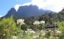 Erkundung von La Réunions Bergwelt Ein blühender Garten vor einer beeindruckenden Bergkulisse auf La Réunion.