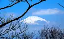 Aus jeder Perspektive schön: Blick auf den Fuji-Berg in Japan Schneebedeckter Fuji-Berg zwischen kahlen Ästen, blauer Himmel im Hintergrund.
