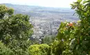 Blick über Bogota von den Anden aus Ausblick auf Bogota von einem Berg aus, umgeben von Bäumen und Vegetation.