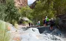 Oman - Ein Duft von 1001 Nacht im 21. Jahrhundert – Bild 20