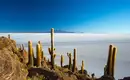 Sonneninsel in der Salzwüste Salar de Uyuni Blick auf Kaktuslandschaft vor dem Salar de Uyuni