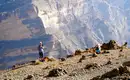 Oman - Anspruchsvolles Trekking im Sultanat – Bild 14