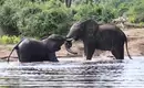 Botswana & Simbabwe - Vom Okavango-Delta zu den majestätischen Victoriafällen