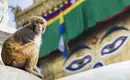 Nepal - Annapurna-Trek zum Poon Hill