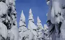 Skitourenreise Kanada – Coast Mountains & Burnie Glacier Chalet