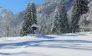 Wochenend-Schneeschuhtouren Allgäu