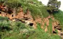 Fels- und Höhlenformationen auf La Palma Grüne Felswand mit Vegetation auf La Palma.