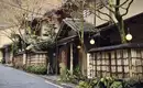 Japan: Kirschblüte oder Herbstlaub zaubern Farbenwunder