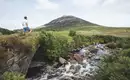 Irland's Highlights für Singles und Alleinreisende