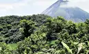 Costa Rica - nachhaltige Regenwaldabenteuer im grünen Paradies