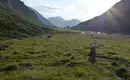 Berglandschaft mit grünen Wiesen und Sonnenaufgang im Stubai-Tal hinter de rFranz Senn Hütte