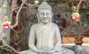Steinerne Buddha-Statue in Vietnam Buddha-Statue unter blühendem Baum in Vietnam.