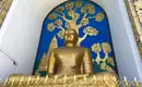 Buddhistische Statue in Nepal Goldene Buddha-Statue vor dekorativer Wand in Nepal.