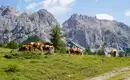 Neue Alpenüberquerung: zwischen Bergen und Seen - von Salzburg zum Millstätter See