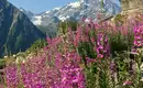 Das charmante Val Maïra: zwischen Tradition und Natur