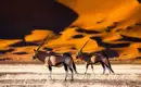 Namibia - die Wunderwelt der Wüsten