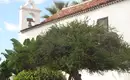 Individuelle Wanderwoche Teneriffa