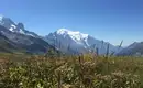 Tour du Mont Blanc