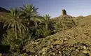 Natur pur im Saghro-Gebirge Palmen und Felsen im Saghro-Gebirge, Marokko