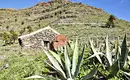 La Gomera: Ein Naturparadies zum Verlieben