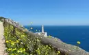 Leuchtturm von Otranto an der Küste Blick auf Leuchtturm von Otranto mit Blumen am Meer