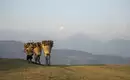 Bhutan & Nepal - Trekkingreise mit Besuch des Punakha Festes