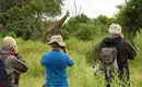 Botswana - Das grüne Herz der Kalahari mit Egmont Strigl