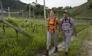 Individuelle Wanderung entlang des Wein- und Almenwegs in Südtirol