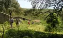 Die malerische Algarve entdecken