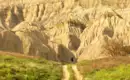 Georgiens Highlights erleben