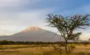 Tansania - Mount Meru Besteigung – Bild 3
